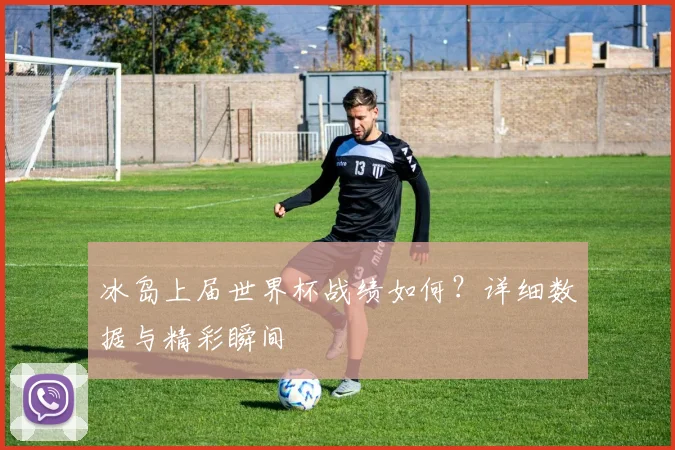 冰岛上届世界杯战绩如何？详细数据与精彩瞬间