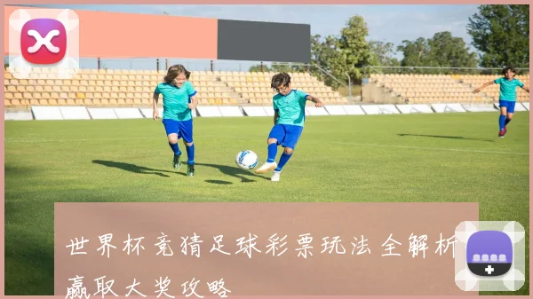 世界杯竞猜足球彩票玩法全解析,赢取大奖攻略