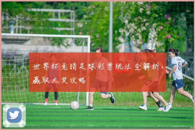 世界杯竞猜足球彩票玩法全解析,赢取大奖攻略