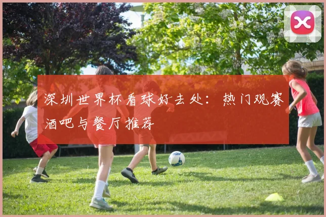 深圳世界杯看球好去处：热门观赛酒吧与餐厅推荐
