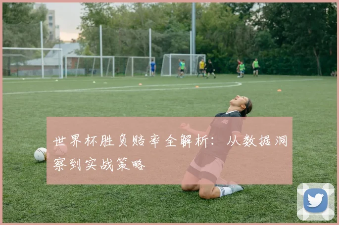 世界杯胜负赔率全解析:从数据洞察到实战策略
