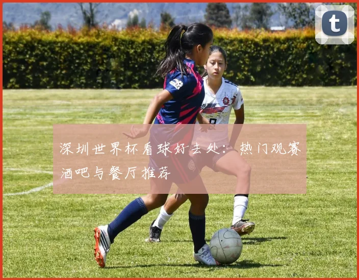 深圳世界杯看球好去处：热门观赛酒吧与餐厅推荐